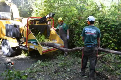 tree services Union City